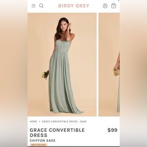 Birdy grey sage chiffon dress